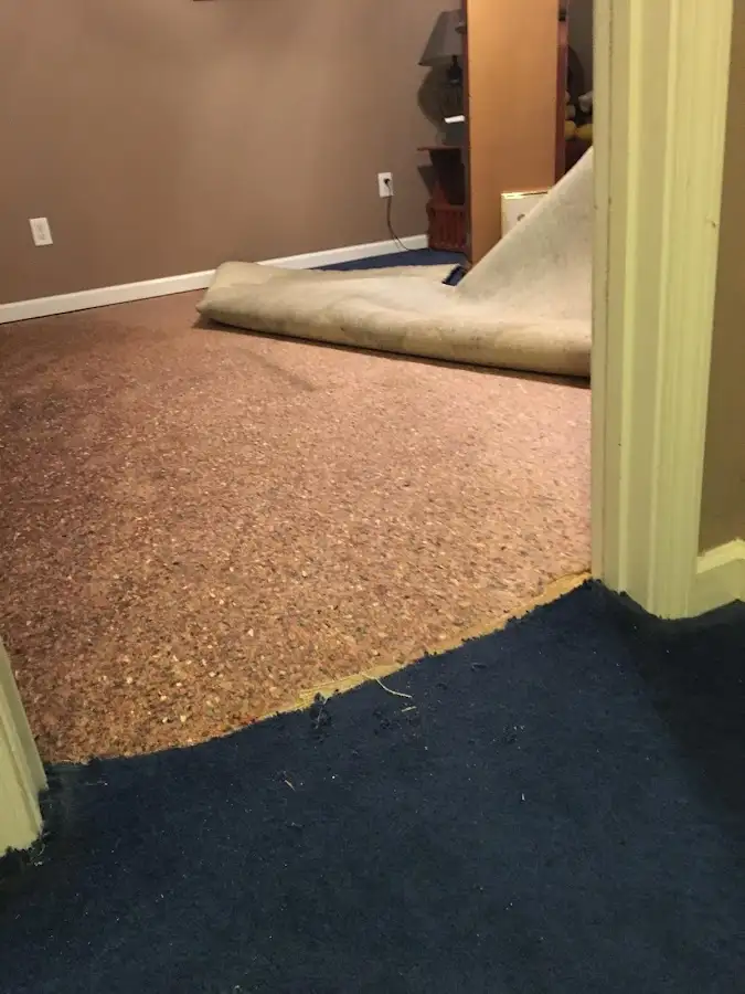 Carpet pad removal revealing water damage during Drying & Dehumidification in East Flat Rock