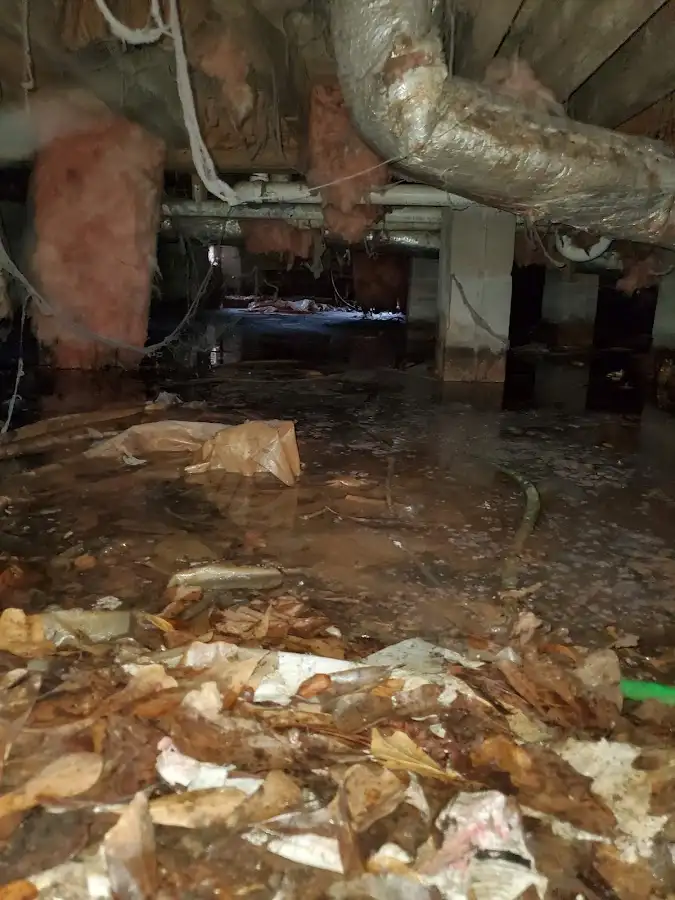 Crawl space flood assessment for Leak Detection & Repair in East Flat Rock