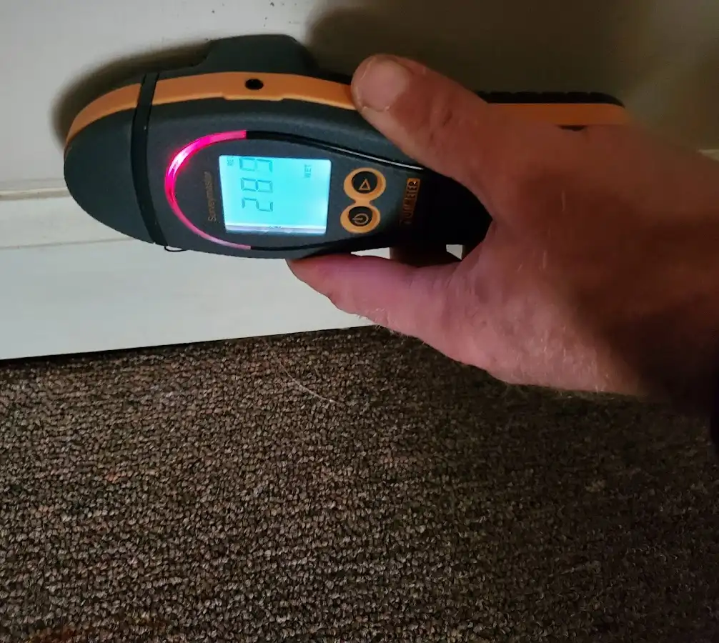 Moisture detection at baseboard during Storm Damage Restoration in East Flat Rock