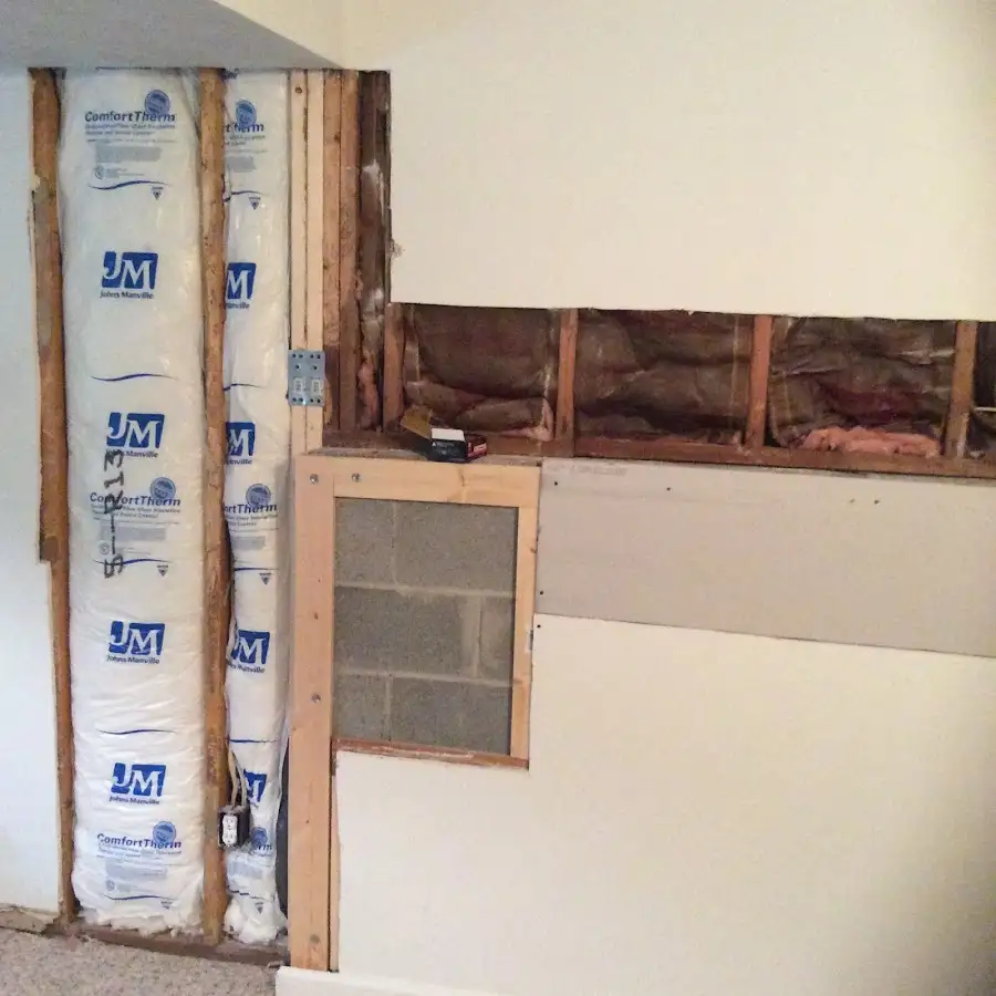 Wall insulation replacement during Odor Removal & Deodorization in East Flat Rock